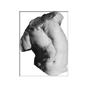 Torso Colossale di Fauno