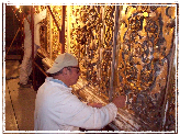 restauro LIGNEO